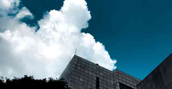 飞蛾的粉有毒吗