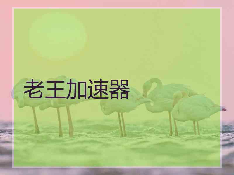 老王加速器