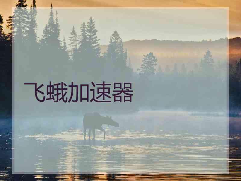 飞蛾加速器